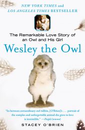 wesley the owl
