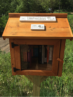 Little Free Libraries