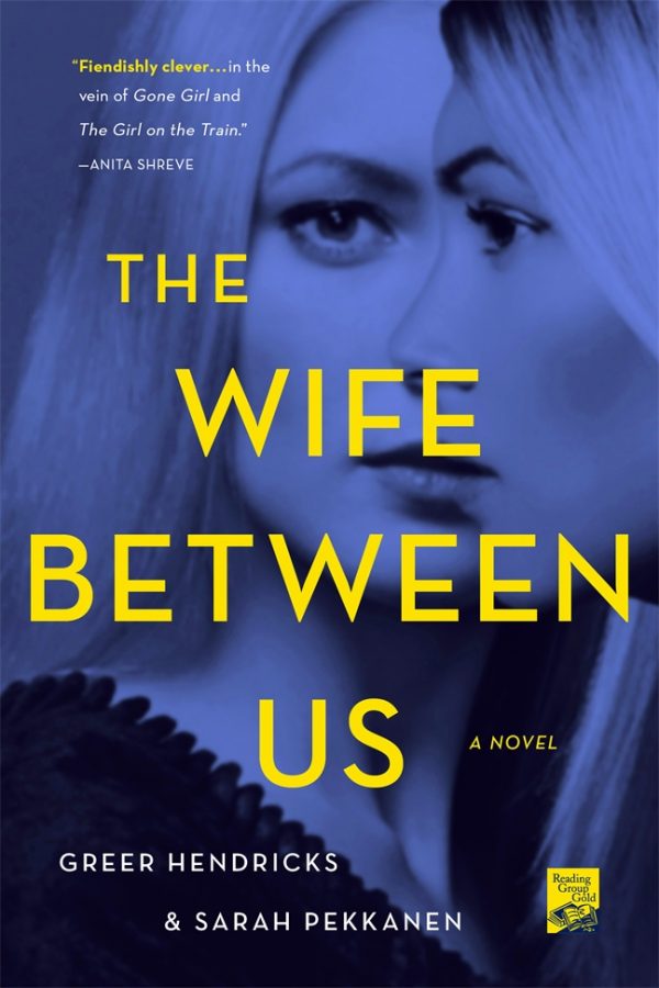 novel the wife between us