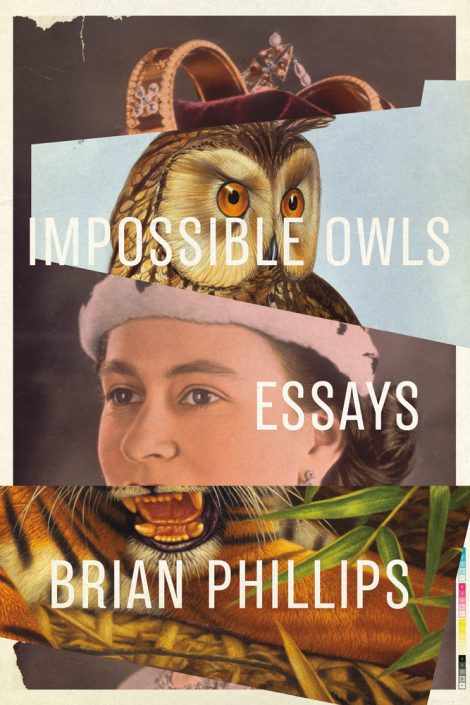 impossible owls