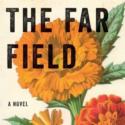 One of our recommended books for 2019 is The Far Field by Madhuri Vijay