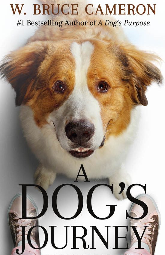 One of our recommended books is A Dog's Journey by W. Bruce Cameron