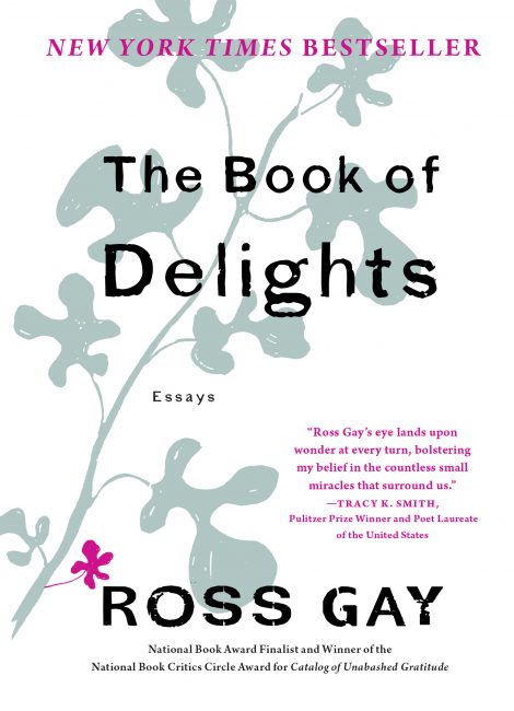 One of our recommended books is The Book of Delights by Ross Gay