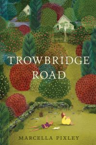 One of our recommended books is Trowbridge Road by Marcella Pixley