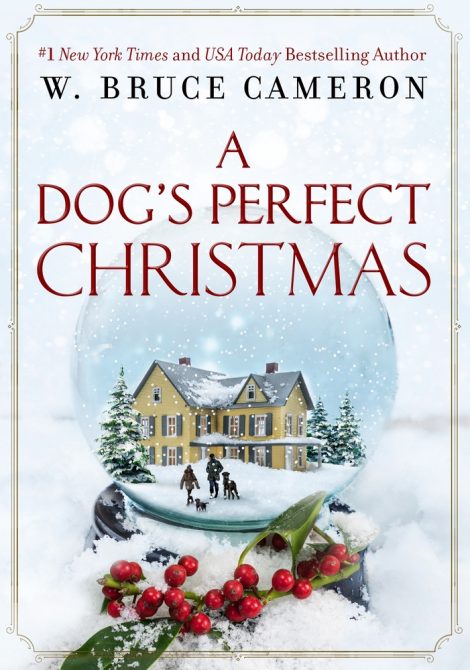 One of our recommended books is A Dog's Perfect Christmas by W. Bruce Cameron