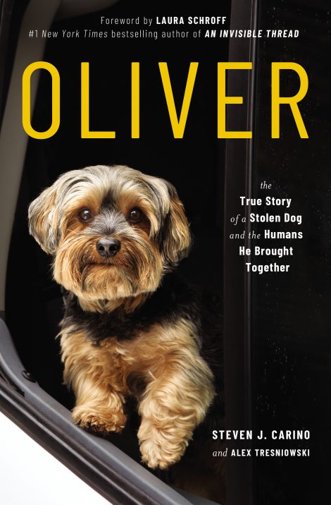 One of our recommended books is Oliver by Steven Carino