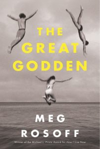 One of our recommended books is The Great Godden by Meg Rosoff