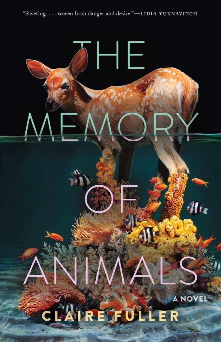 One of our recommended books is The Memory of Animals by Claire Fuller