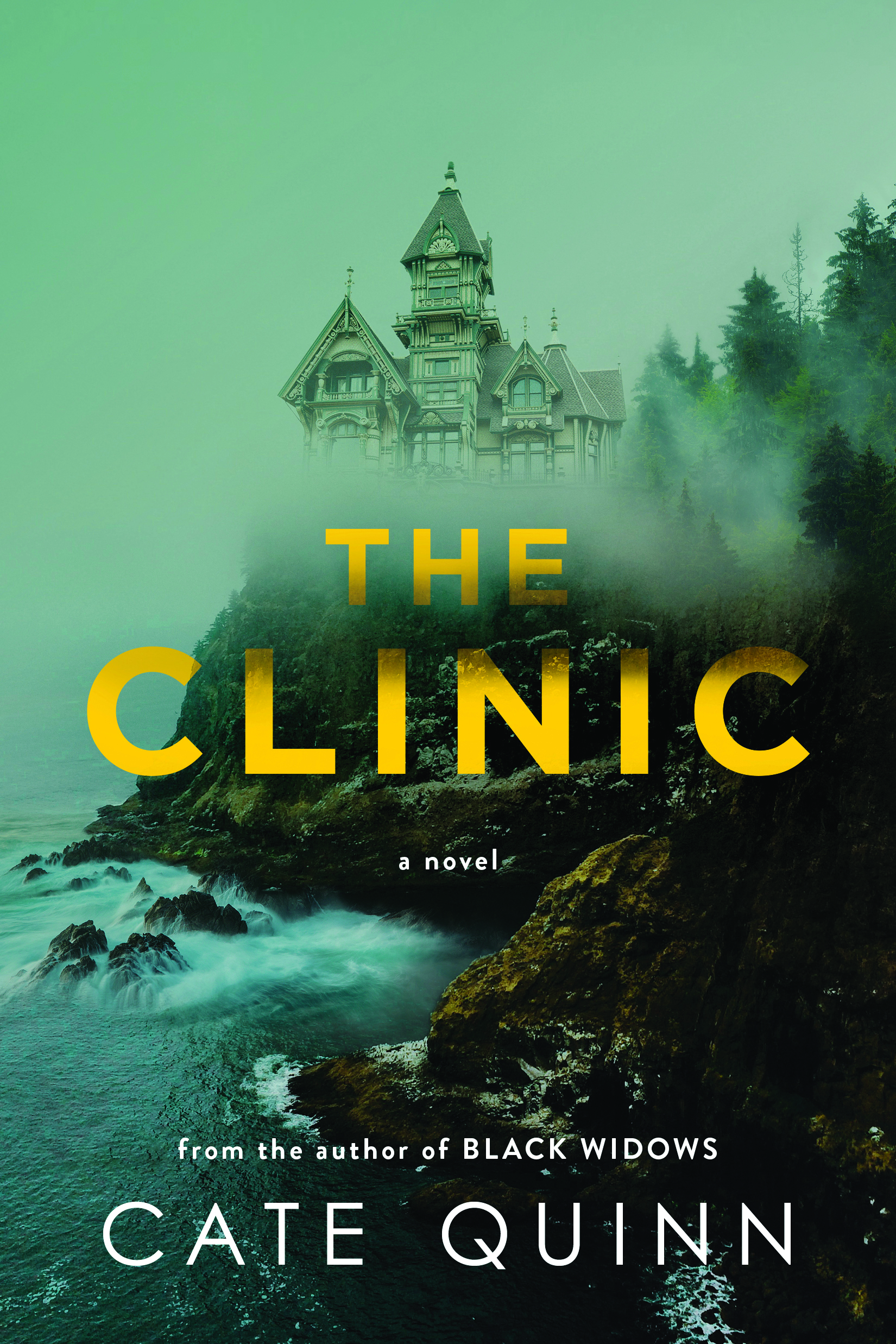 One of our recommended books is The Clinic by Cate Quinn