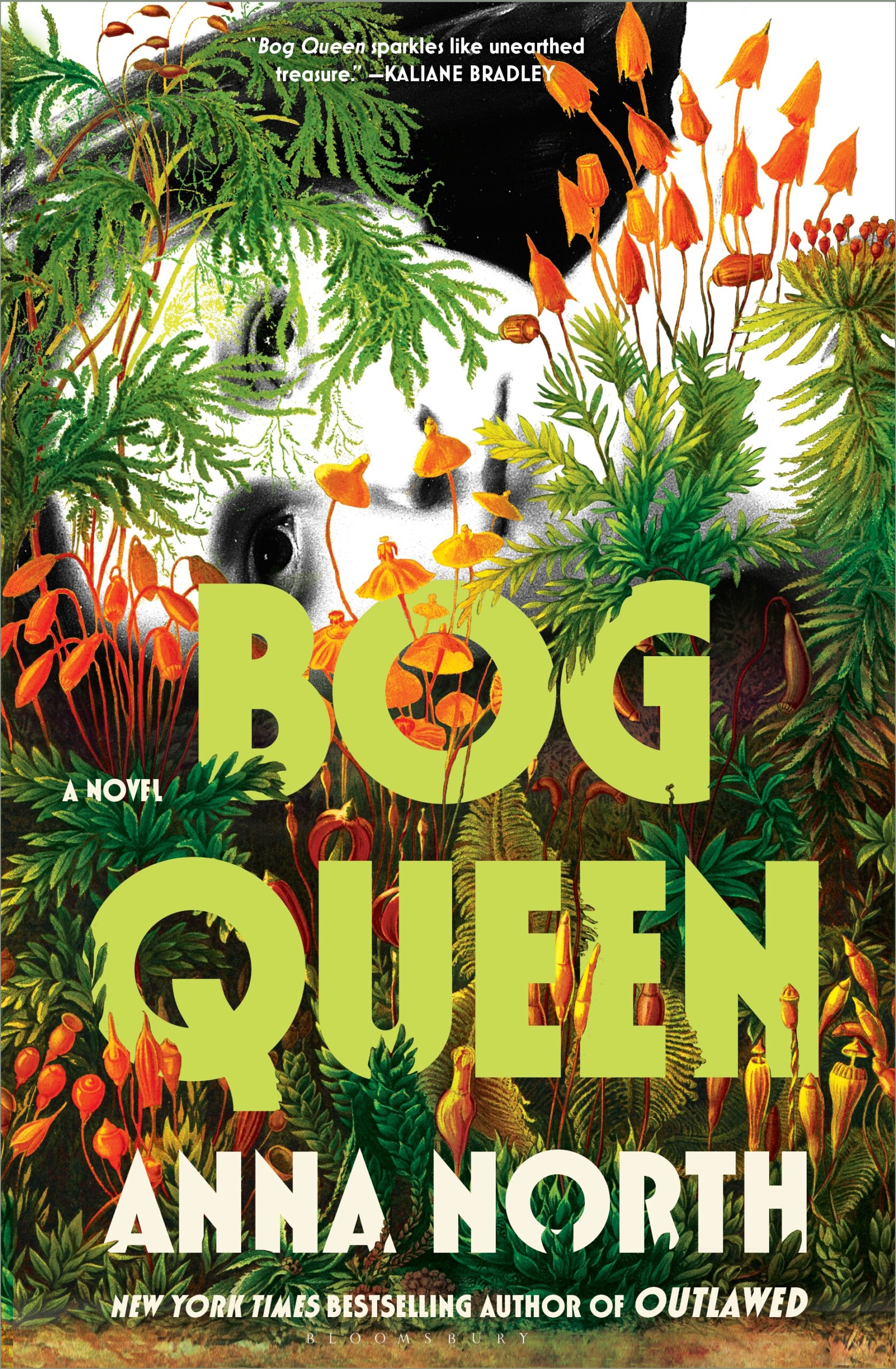 One of our recommended books is Bog Queen by Anna North