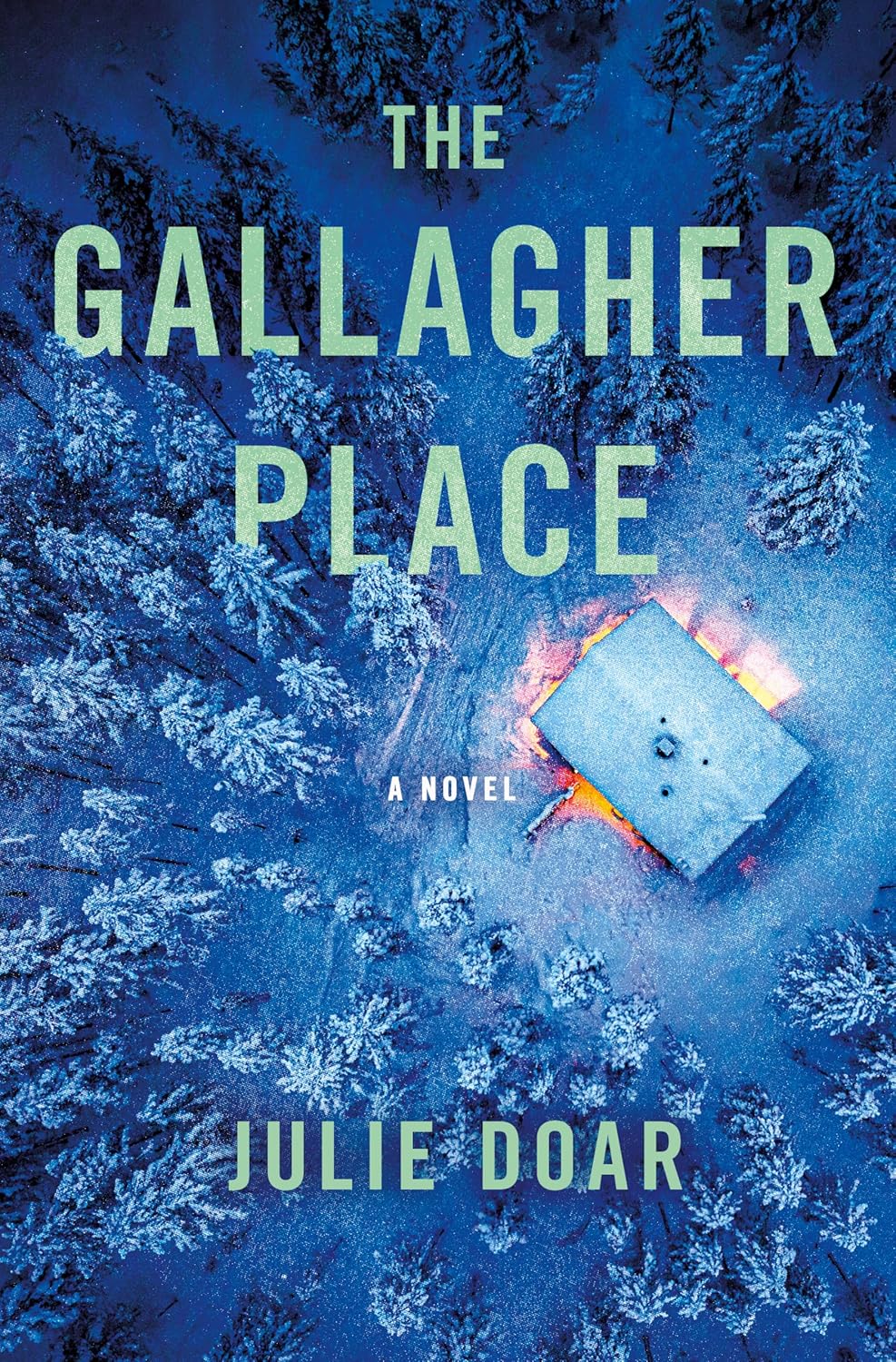 One of our recommended books is The Gallagher Place by Julie Doar