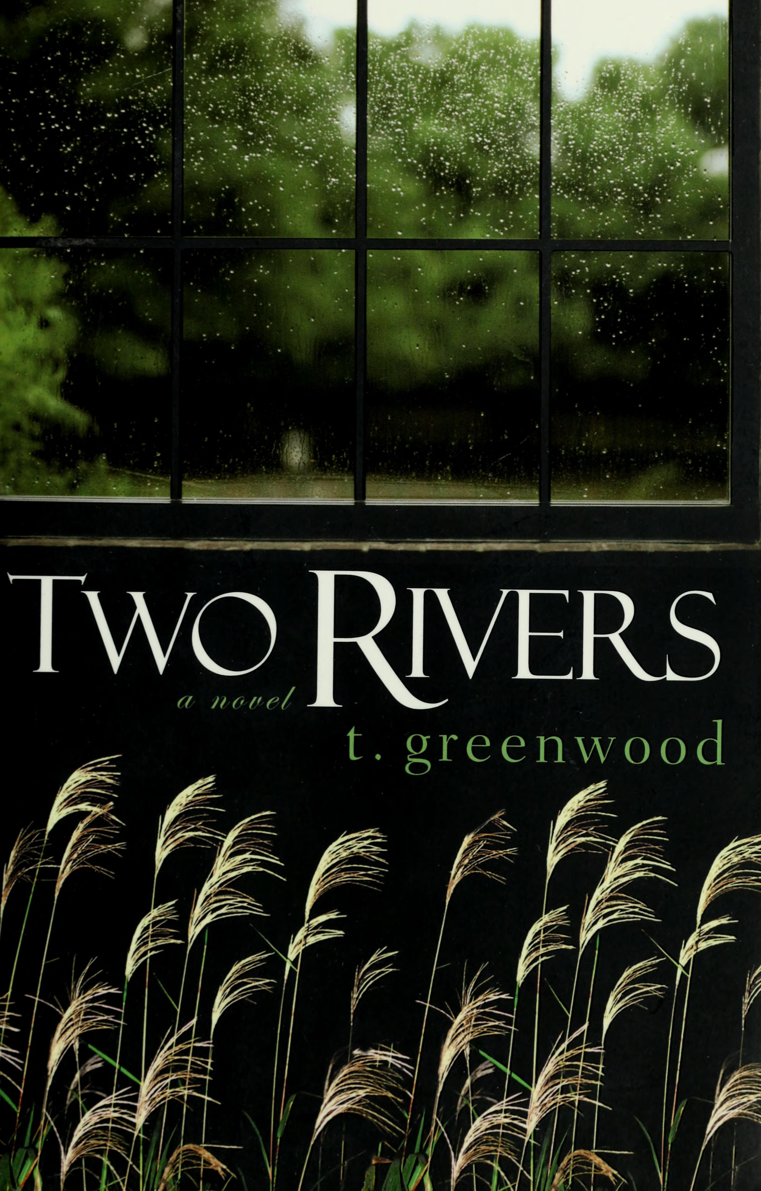 Two Rivers. Рисунок книги Ривер. Гринвуд Ривер город. Two Rivers become one.